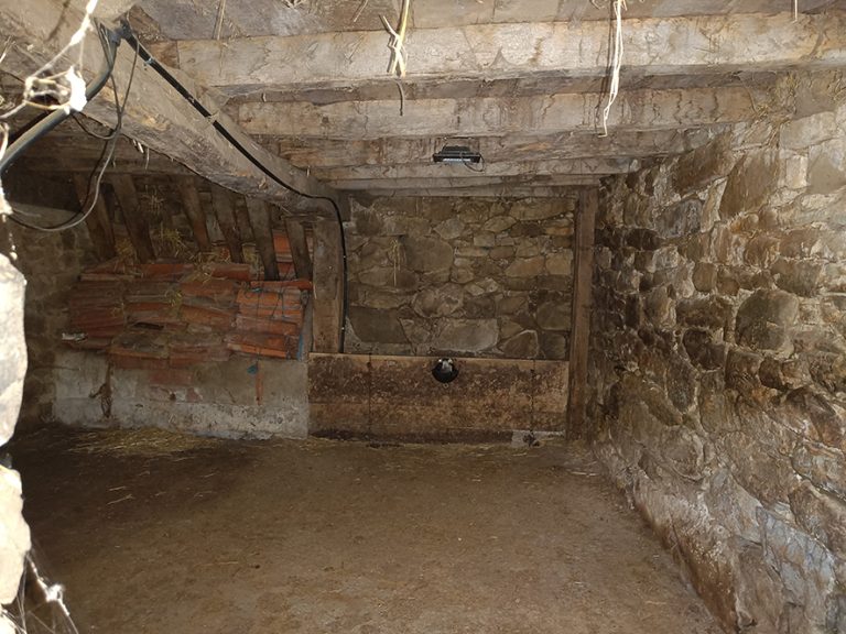 IMG20231022125627 768x576