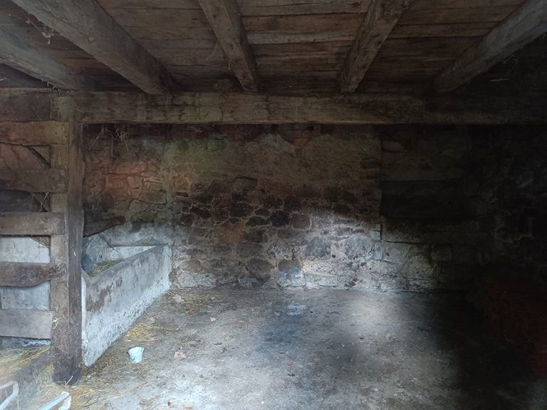 IMG20231022125703 768x576