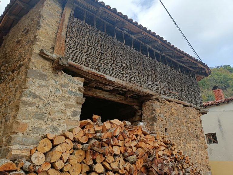 IMG202310221333431 768x576