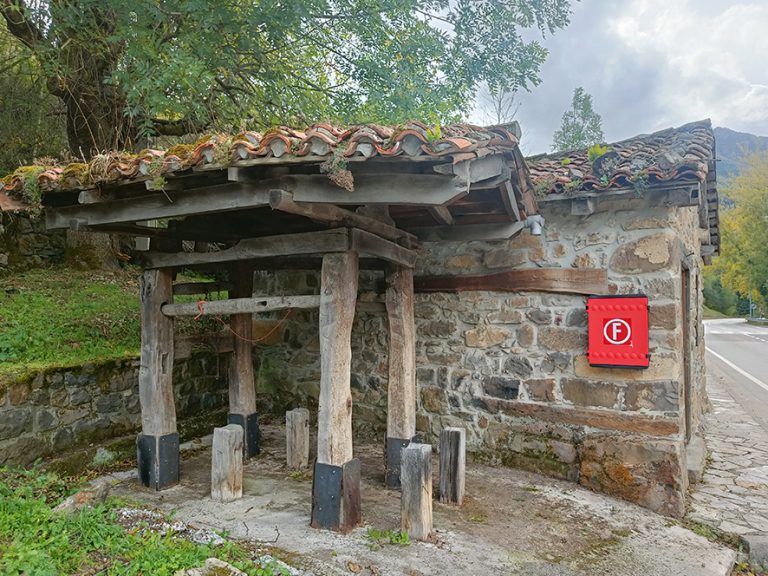 IMG20231022134930 768x576