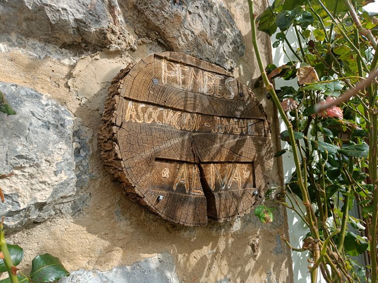 IMG20231022140046 768x576