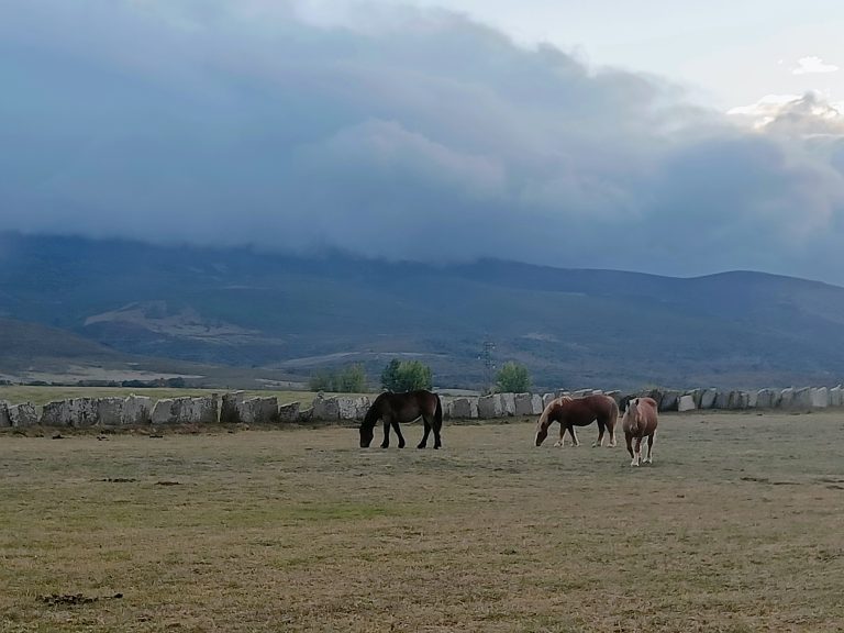 IMG20231018191243 768x576